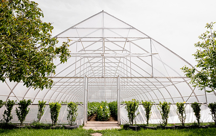 Seracılık ve Diğer Naylon Ürünleri